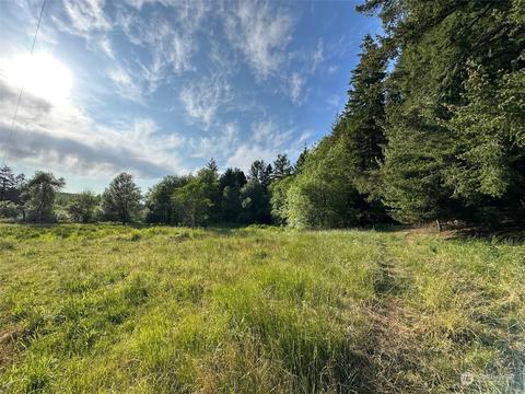 0 Browning Rd, Chehalis, WA 98532 photo 13