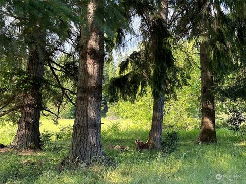 0 Browning Rd, Chehalis, WA 98532 photo 7