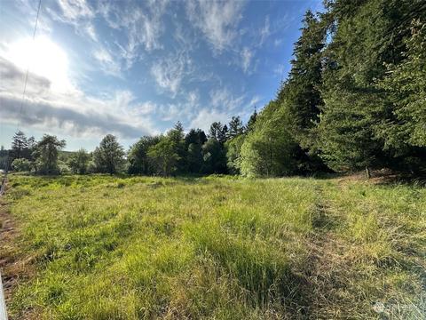 0 Browning Rd, Chehalis, WA 98532 photo 12