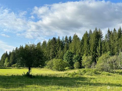 0 Browning Rd, Chehalis, WA 98532 photo 4
