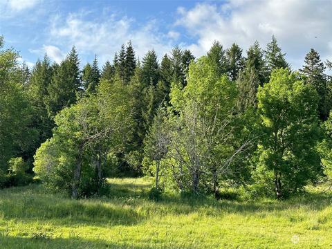 0 Browning Rd, Chehalis, WA 98532 photo 5