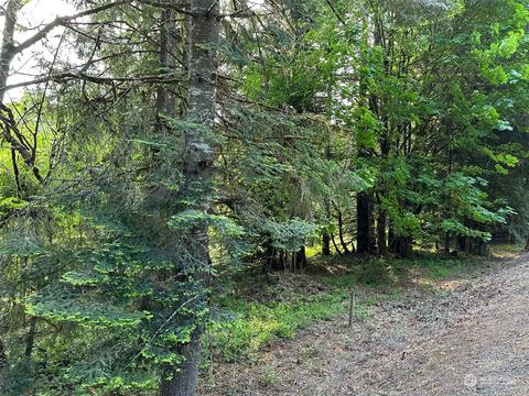 0 Browning Rd, Chehalis, WA 98532 photo 17