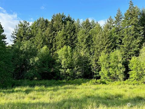 0 Browning Rd, Chehalis, WA 98532 photo 14