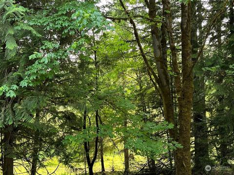 0 Browning Rd, Chehalis, WA 98532 photo 19