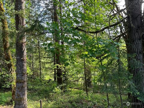 0 Browning Rd, Chehalis, WA 98532 photo 18