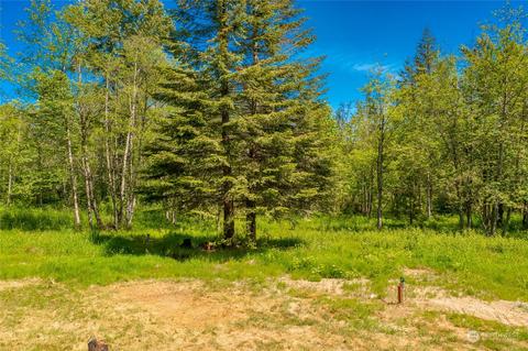9092 Stein Rd, Custer, WA 98240 photo 19