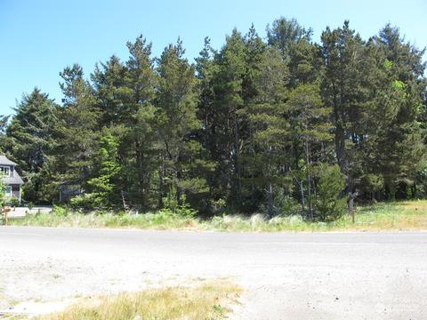32806 J Pl, Ocean Park, WA 98640