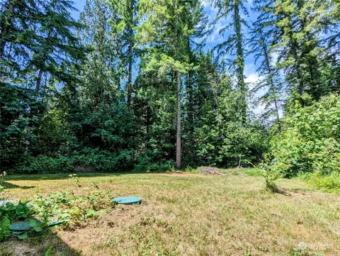 46414 Baker Loop Rd, Concrete, WA 98237 photo 5