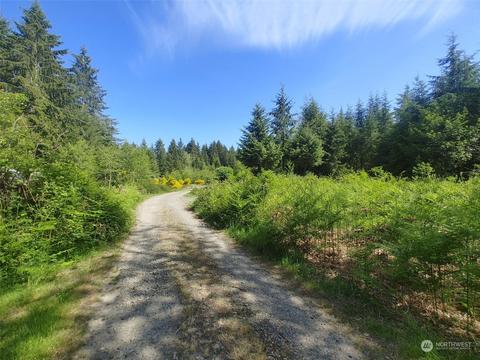 999 Dowans Creek Rd, Forks, WA 98331