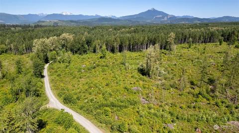 0 174xx Pilchuck Tree Farm Rd, Snohomish, WA 98290