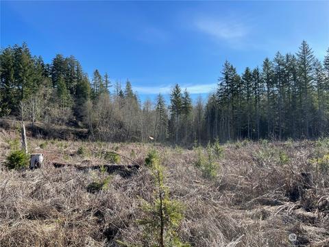 3 Nn Brim Rd, Onalaska, WA 98570
