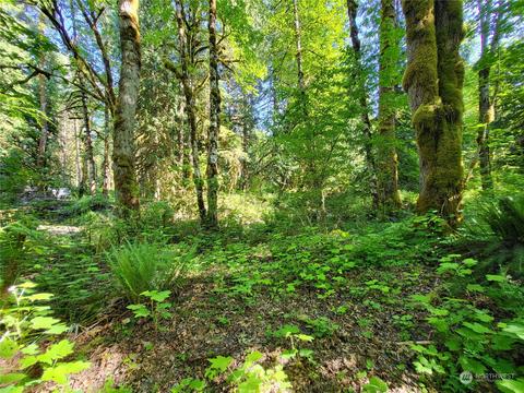 10007 Railroad Avenue Ct, Glacier, WA 98244
