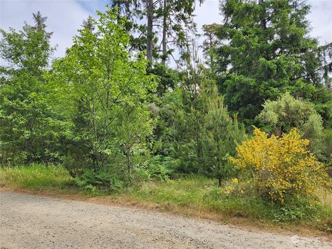 297 O Ln, Ocean Park, WA 98640