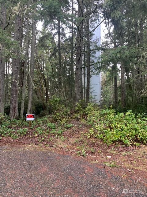 9303 114th Avenue Ct, Anderson Island, WA 98303
