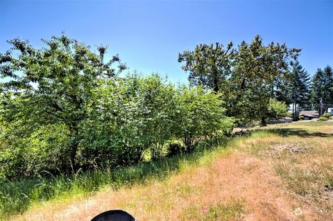 580 E Rauschert Rd, Grapeview, WA 98546 photo 16