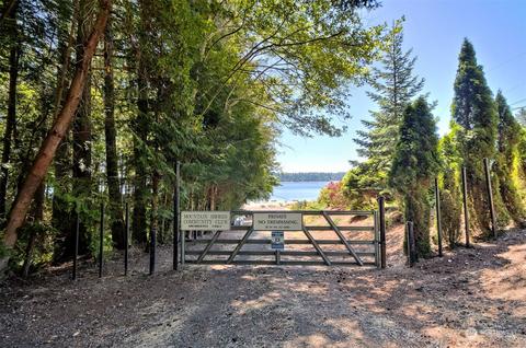 580 E Rauschert Rd, Grapeview, WA 98546 photo 19
