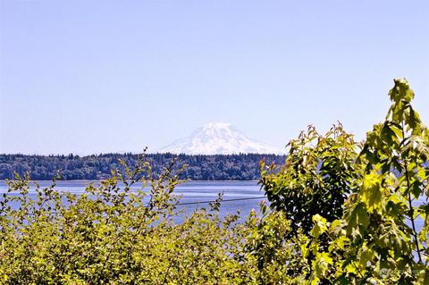580 E Rauschert Rd, Grapeview, WA 98546 photo 11