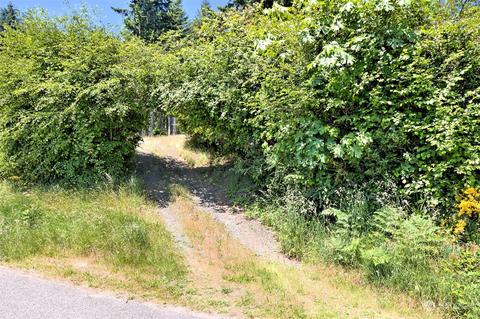 580 E Rauschert Rd, Grapeview, WA 98546 photo 8