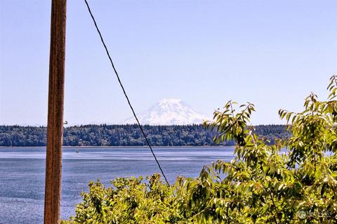 580 E Rauschert Rd, Grapeview, WA 98546 photo 15