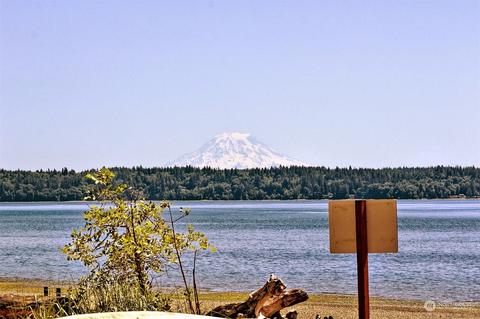 580 E Rauschert Rd, Grapeview, WA 98546 photo 23