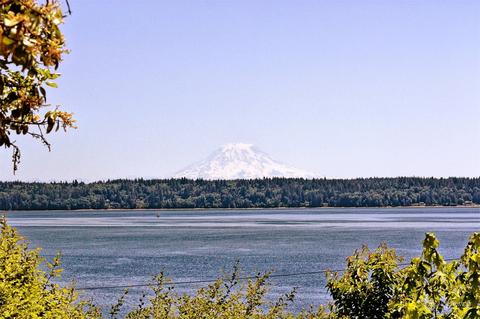 580 E Rauschert Rd, Grapeview, WA 98546 photo 18