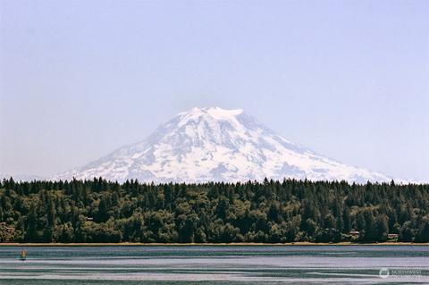 580 E Rauschert Rd, Grapeview, WA 98546 photo 22