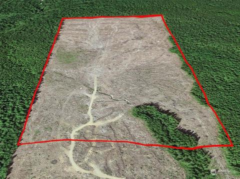 120 Forest Service 12, Moclips, WA 98587