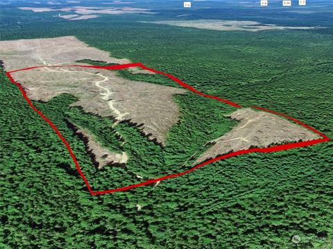 100 Forest Service 12, Moclips, WA 98587