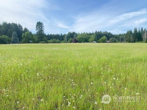 0 Stearns Rd, Chehalis, WA 98532