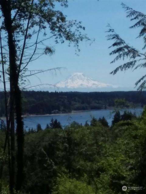 151 E Mountain View Dr, Allyn, WA 98524