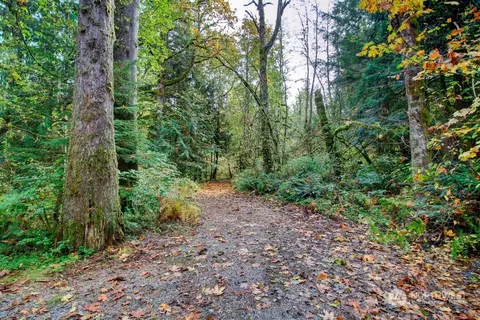 3 7 Big Tree Dr, Deming, WA 98244
