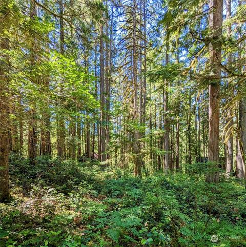 0 Lot 64 Cacade River Park #02, Marblemount, WA 98267