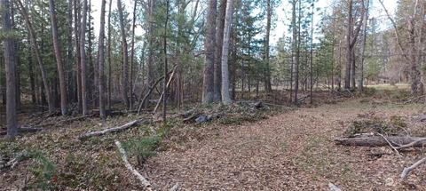 0 Rader Rd, Winthrop, WA 98862