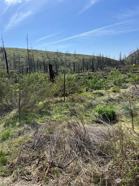 0 Antoine Creek Rd, Okanogan, WA 98816