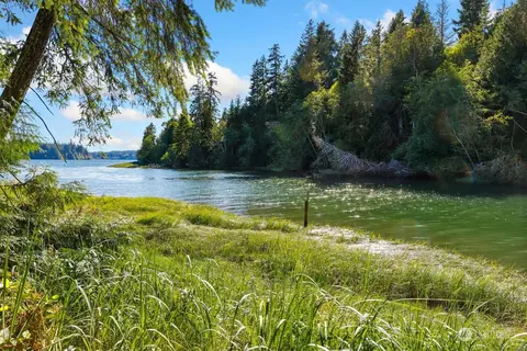290 E Robbins Rd, Grapeview, WA 98546 photo 36