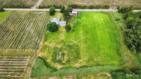 7976 Goodwin Rd, Everson, WA 98247 photo 31