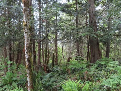 0 Nnn Pilgrim Rd E, Eatonville, WA 98328