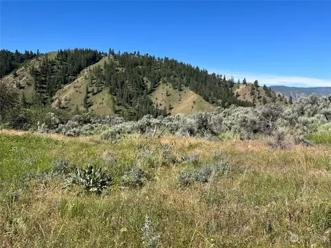 54 Tyee View Loop, Orondo, WA 98843