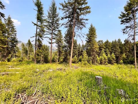 0 Lot 3 Vista Dr, Republic, WA 99166