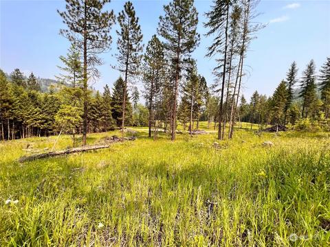 0 Lot 4 Vista Dr, Republic, WA 99166