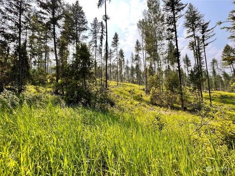 0 Lot 2 Vista Dr, Republic, WA 99166