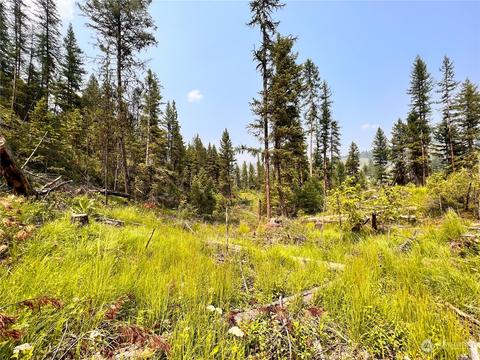 0 Vista Dr, Republic, WA 99166