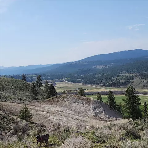 0 Lot 16 Sr 20 Aeneas Valley Rd, Tonasket, WA 98855