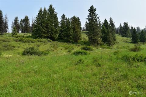 0 Knob Hill Rd, Republic, WA 99166
