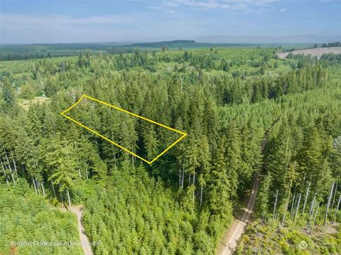 0 W Cub Dr, Elma, WA 98541