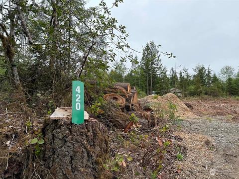 420 E Greenview Ln, Shelton, WA 98584