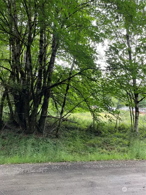 761 SE Fireweed Rd, Shelton, WA 98584