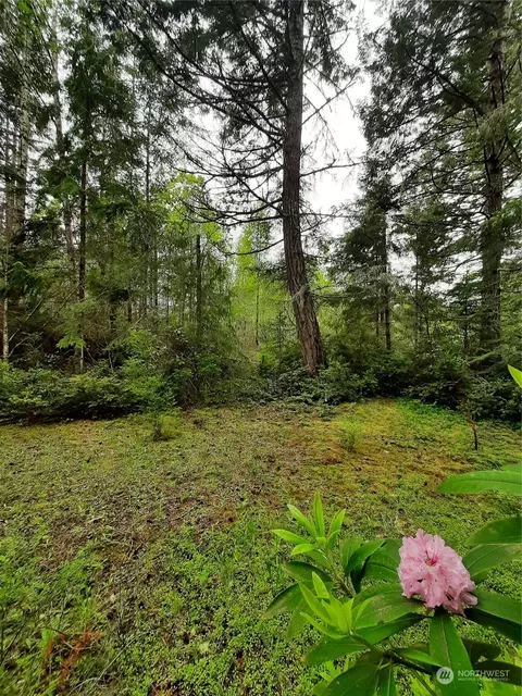 0 W Go Onna Dr, Quilcene, WA 98376
