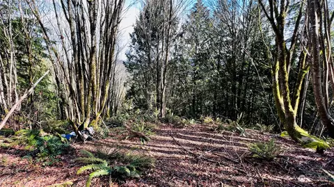 13729 Jordan Trails Rd, Arlington, WA 98223