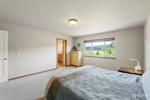 319 Starling SW, Orting, WA 98360 photo 18